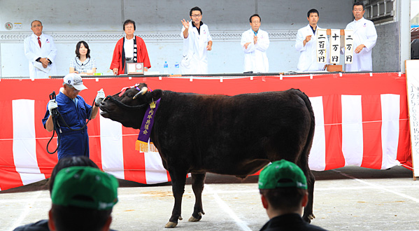 平成28年度あわじ肉牛共進会