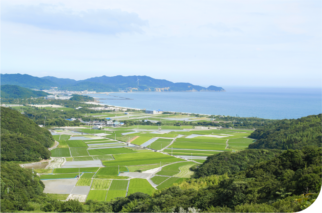 Aerial view of green farmland terraces and forested hills meeting the Awaji Island coastline, showcasing the island's harmony of nature and human craft