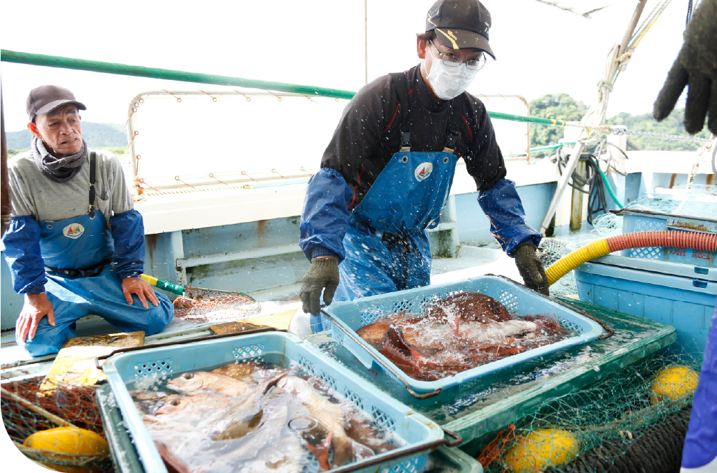 Local fishermen sorting a fresh seafood catch aboard a working boat on Awaji Island, where the sea's bounty shapes every meal
