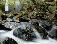 Mountain stream flowing through Shikoku forest, evoking a serene nature-focused getaway