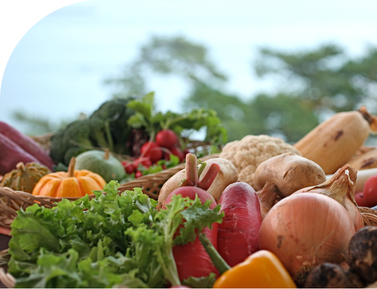 Locally grown vegetables from Awaji Island in Japan used in seasonal Japanese cuisine