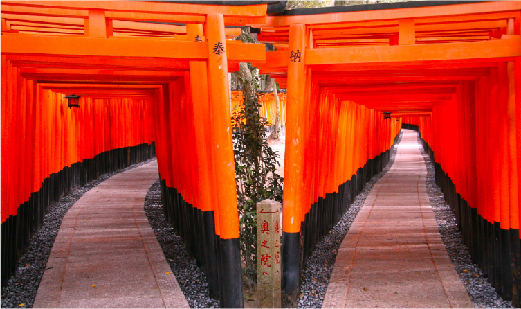 Vermillion torii gates lining the mountain path at Fushimi Inari Shrine in Kyoto, creating a memorable and immersive cultural hike