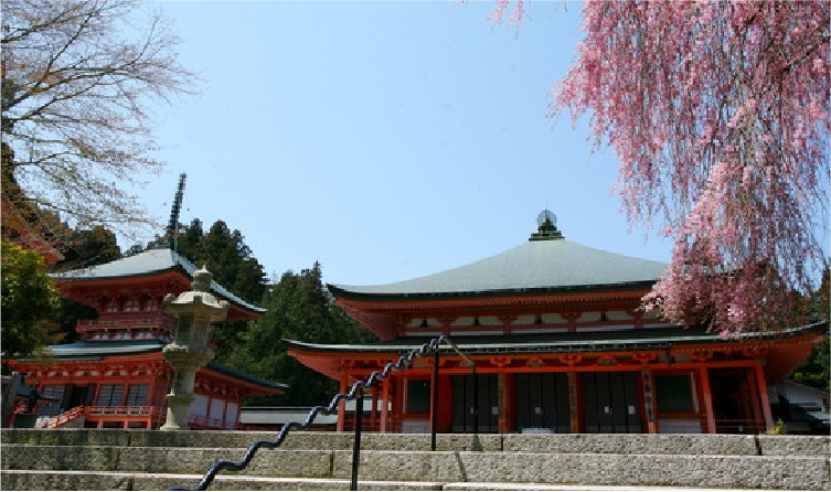 Temple complex on Mount Hiei overlooking Lake Biwa, offering a historic and elevated cultural experience in a mountain setting