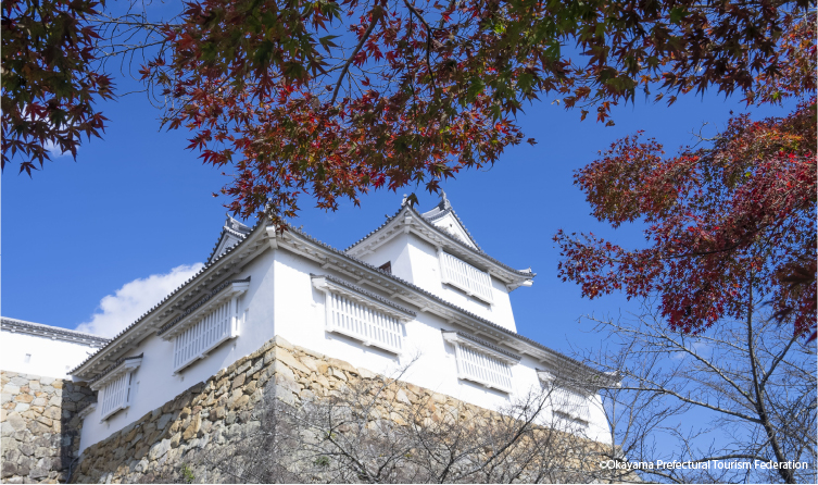Stone castle ruins and seasonal foliage at Tsuyama Castle Park, offering a scenic historical site known for cherry blossoms