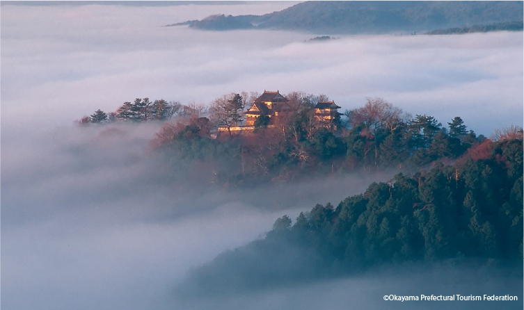 Mountain-top castle rising above clouds in Okayama, offering a dramatic and elevated historic landmark experience