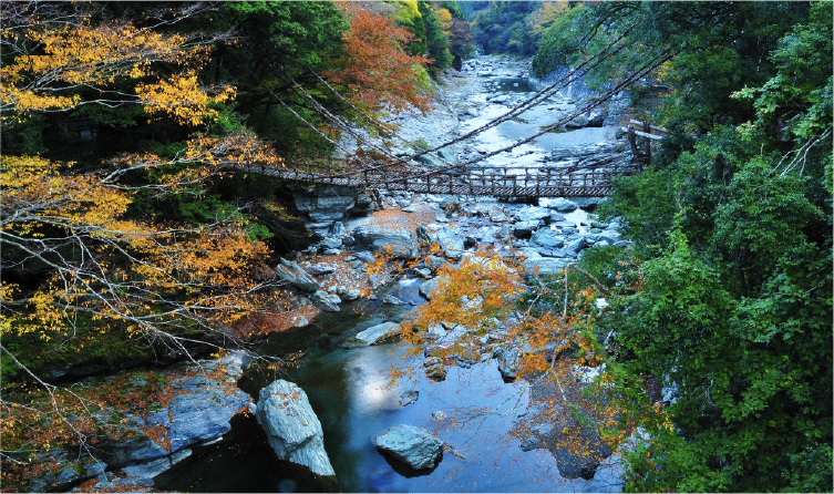 Suspension vine bridge crossing a forested river valley in Iya, offering a thrilling and scenic nature adventure