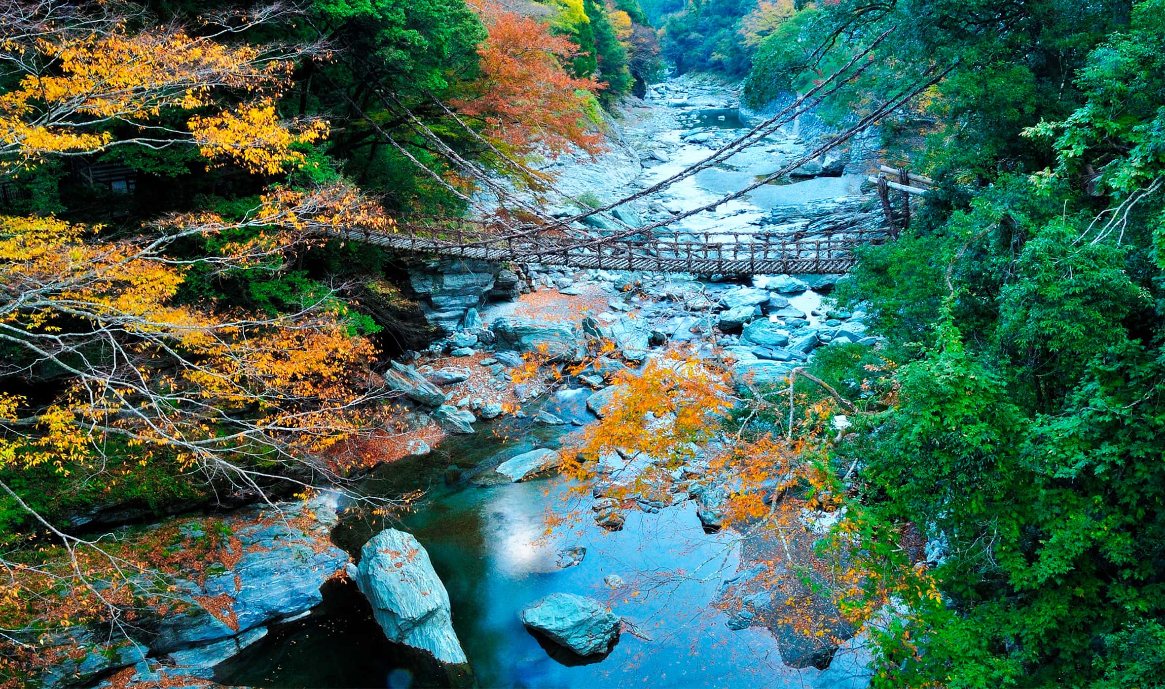 Mountain river and suspension bridge surrounded by seasonal foliage, nature exploration in Japan