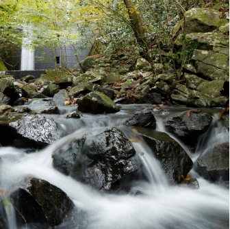 Forest stream cascading over rocks in Shikoku, evoking a serene and nature-immersed escape