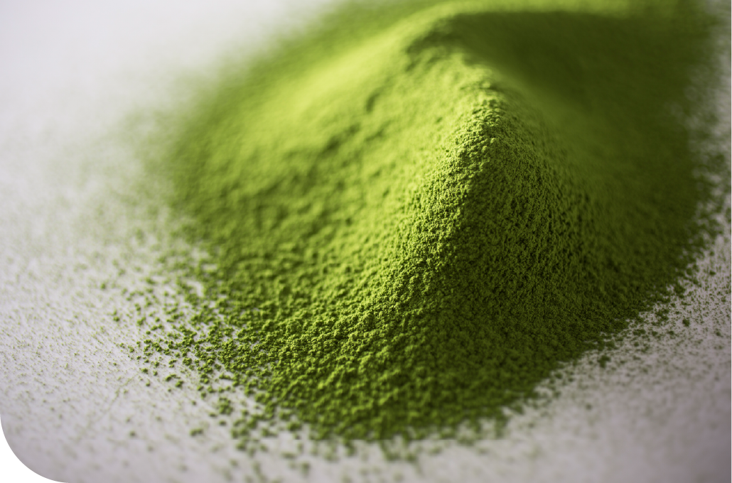 Finely ground matcha powder in vivid green, representing Kyoto's deep-rooted tea culture and its influence on the city's culinary identity