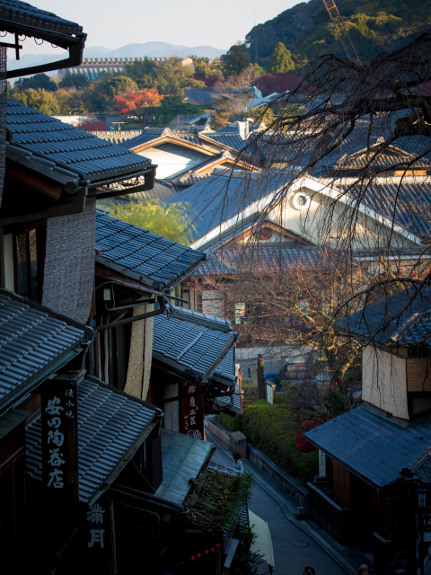 Aerial view over traditional Kiyomizu-dera temple rooftops and autumn foliage in Kyoto, revealing the city's layered historic landscape from above