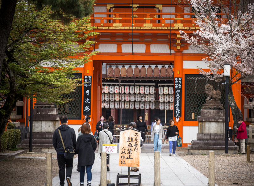 Visitors passing beneath a torii gate at a Kyoto shrine with cherry blossoms, immersed in the living culture of Japan's ancient capital.