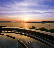 Hotel Newawaji plaza Awajishima