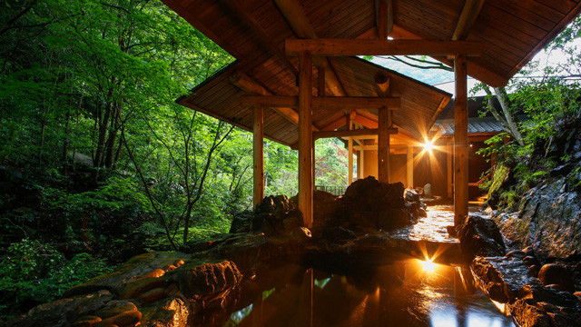 湯山荘 阿讃琴南